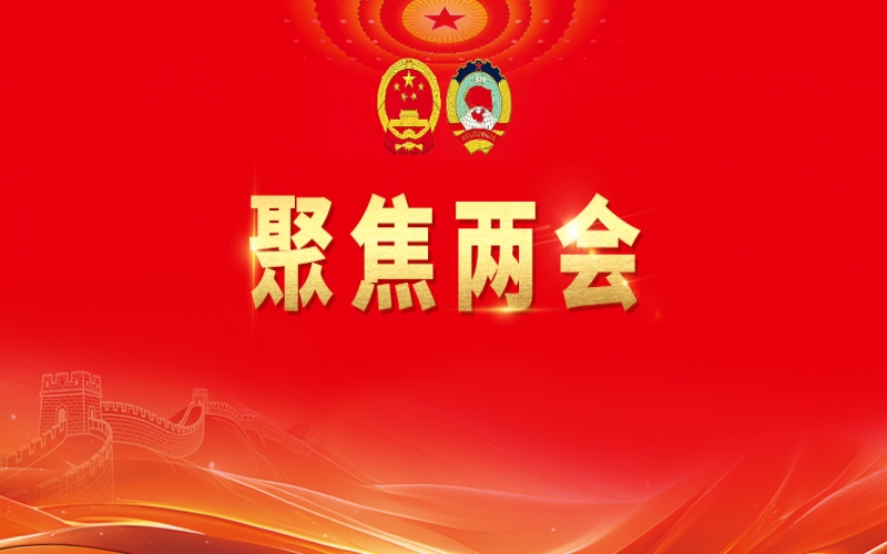张荣华代表建议：加快造就中国特色世界一流商会